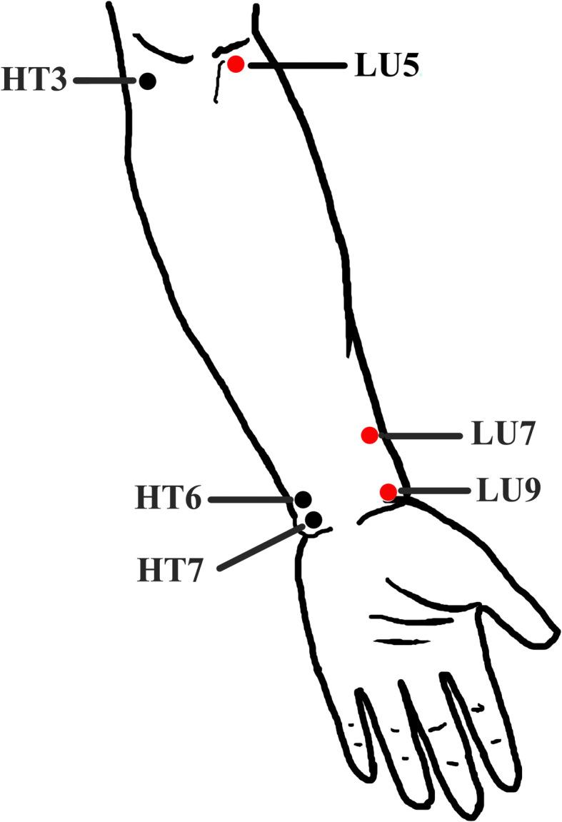 https://cdn.ncbi.nlm.nih.gov/pmc/blobs/8ff4/7789474/1d35cc5067d9/13063_2020_4844_Fig2_HTML.jpg