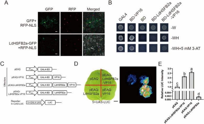 https://cdn.ncbi.nlm.nih.gov/pmc/blobs/8ff6/12209139/7ca85a304146/44154_2025_234_Fig3_HTML.jpg