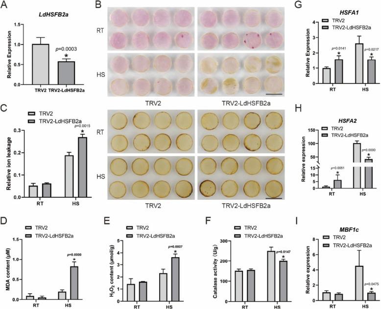 https://cdn.ncbi.nlm.nih.gov/pmc/blobs/8ff6/12209139/a94a712d7206/44154_2025_234_Fig5_HTML.jpg