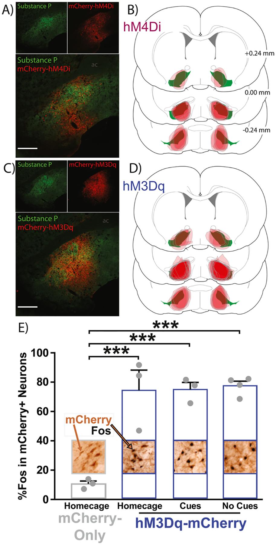 https://cdn.ncbi.nlm.nih.gov/pmc/blobs/8ff6/9494709/cf21b57d0806/nihms-1829268-f0003.jpg