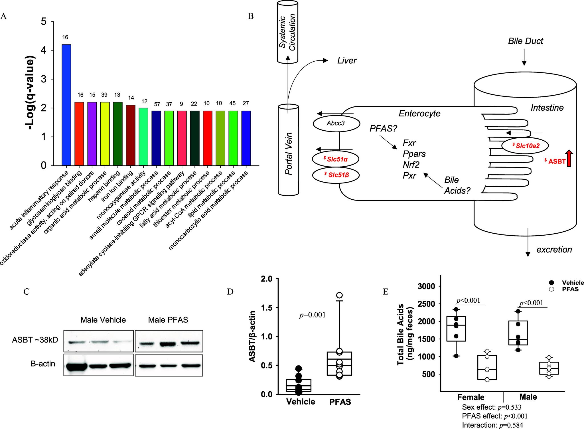 https://cdn.ncbi.nlm.nih.gov/pmc/blobs/8ff7/11343043/04fea6c4ff58/ehp14339_f8.jpg