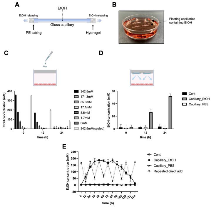https://cdn.ncbi.nlm.nih.gov/pmc/blobs/8ff9/8148542/004e74b35054/cells-10-01120-g002.jpg