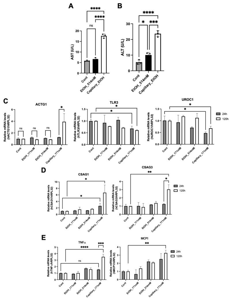 https://cdn.ncbi.nlm.nih.gov/pmc/blobs/8ff9/8148542/177a770215bb/cells-10-01120-g004.jpg