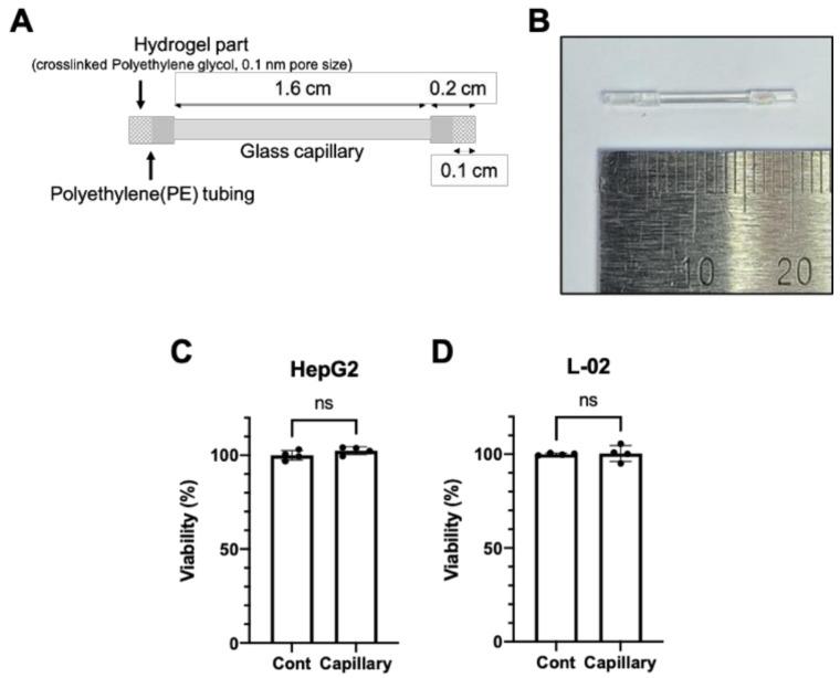 https://cdn.ncbi.nlm.nih.gov/pmc/blobs/8ff9/8148542/fe0e7e48dd12/cells-10-01120-g001.jpg