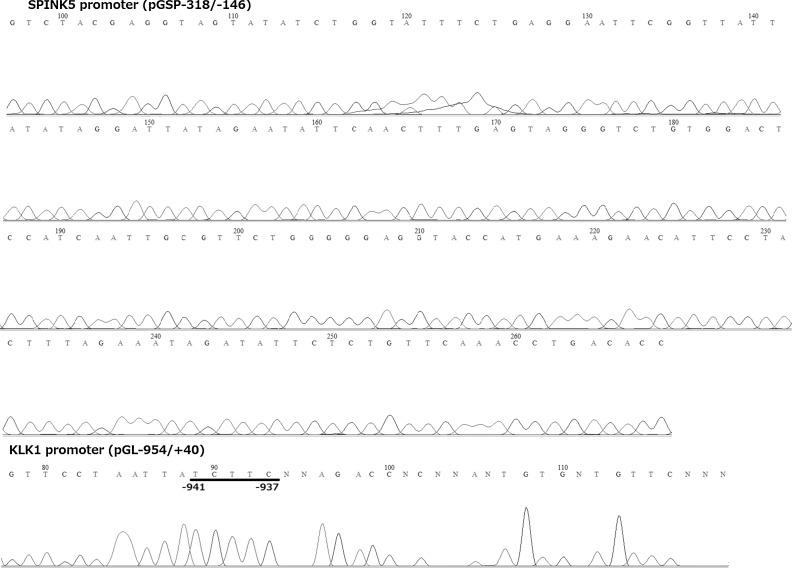 https://cdn.ncbi.nlm.nih.gov/pmc/blobs/8ffb/4085257/9164f8ede95e/12199_2014_393_Fig5_HTML.jpg