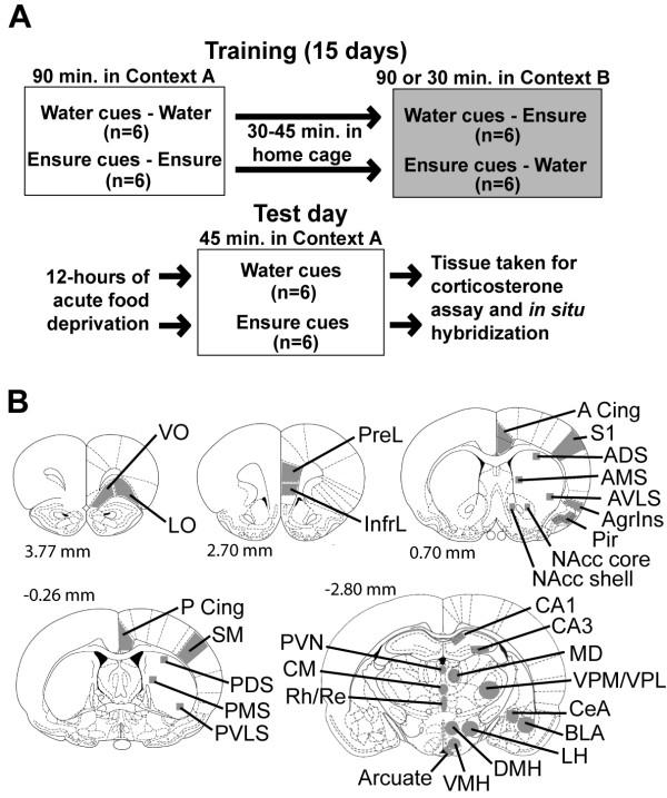 https://cdn.ncbi.nlm.nih.gov/pmc/blobs/8ffc/1868707/529079913748/1741-7007-5-16-1.jpg