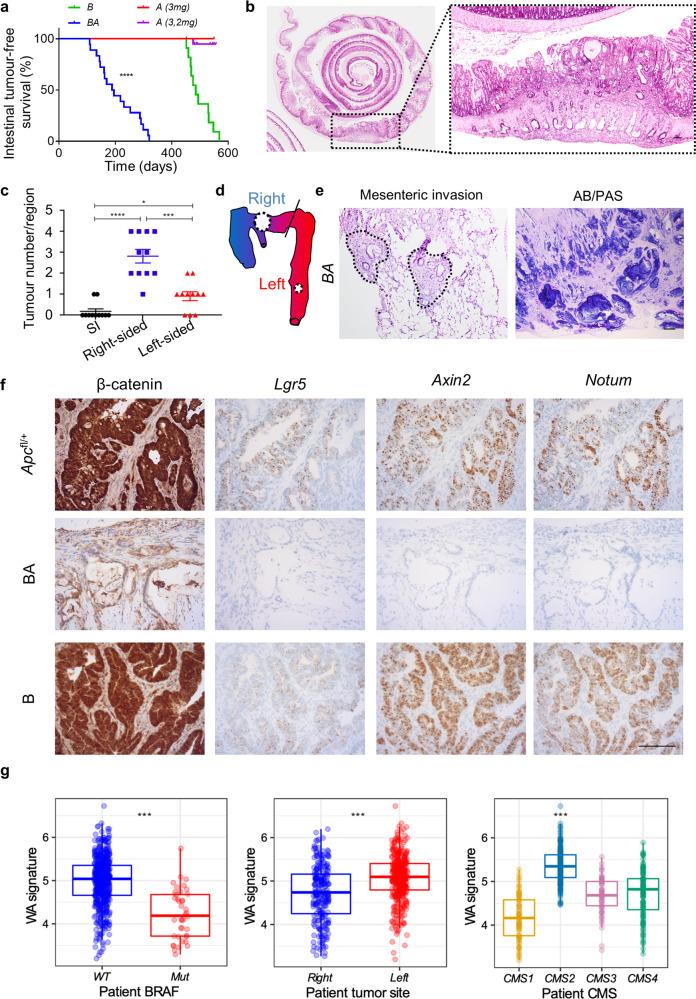 https://cdn.ncbi.nlm.nih.gov/pmc/blobs/8ffe/8187652/b6f7d861ad96/41467_2021_23717_Fig1_HTML.jpg