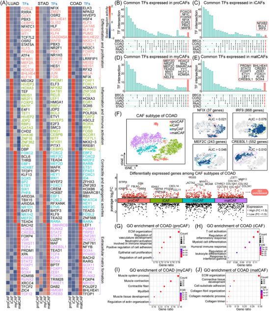 https://cdn.ncbi.nlm.nih.gov/pmc/blobs/8fff/10751516/0dba9c81566f/CTM2-13-e1516-g001.jpg