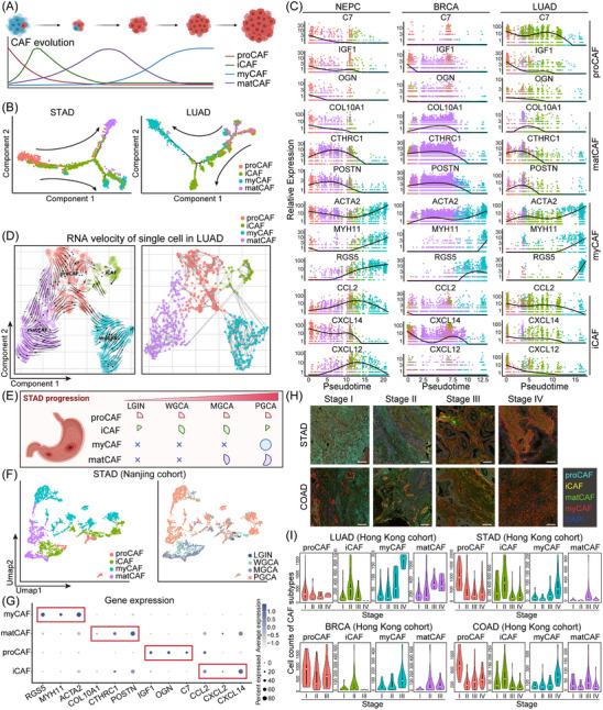 https://cdn.ncbi.nlm.nih.gov/pmc/blobs/8fff/10751516/3baf318b853d/CTM2-13-e1516-g007.jpg