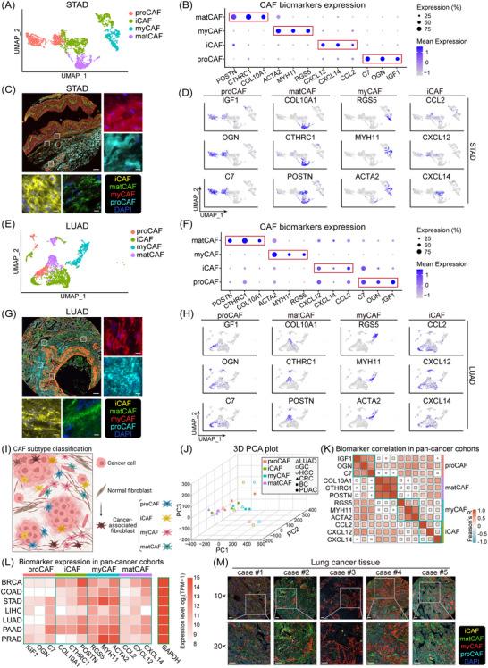 https://cdn.ncbi.nlm.nih.gov/pmc/blobs/8fff/10751516/5990b48cc6b9/CTM2-13-e1516-g003.jpg