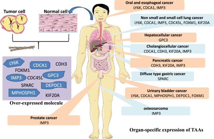 https://cdn.ncbi.nlm.nih.gov/pmc/blobs/8fff/11317456/e974a547d95d/12672_2024_1195_Fig2_HTML.jpg