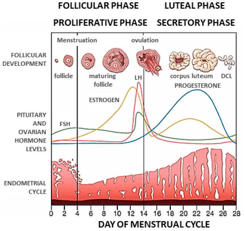 https://cdn.ncbi.nlm.nih.gov/pmc/blobs/9000/9105155/d4056f8b0660/cells-11-01405-g001.jpg
