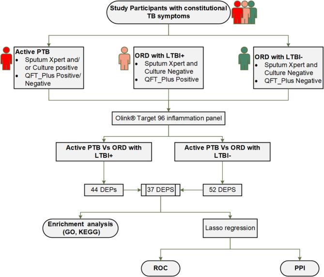 https://cdn.ncbi.nlm.nih.gov/pmc/blobs/9003/11583743/59a43e04ef8d/12879_2024_10224_Fig1_HTML.jpg