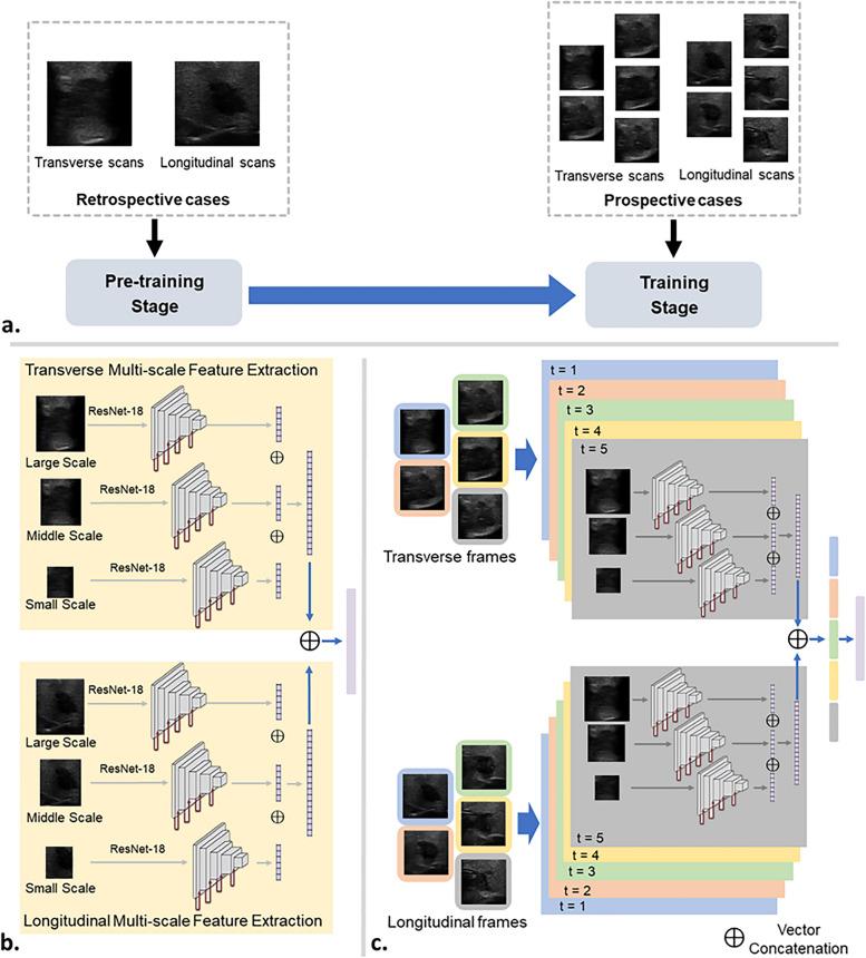 https://cdn.ncbi.nlm.nih.gov/pmc/blobs/9004/11015607/e58db81ec03a/12916_2024_3367_Fig1_HTML.jpg