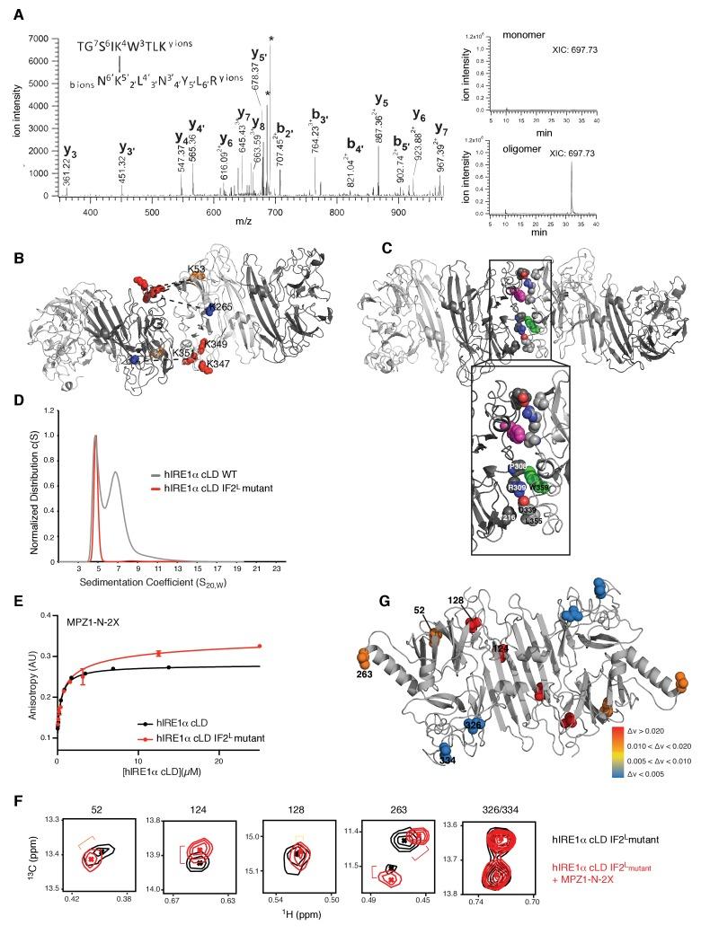 https://cdn.ncbi.nlm.nih.gov/pmc/blobs/9004/5699868/f8cfd79b52bc/elife-30700-fig7.jpg