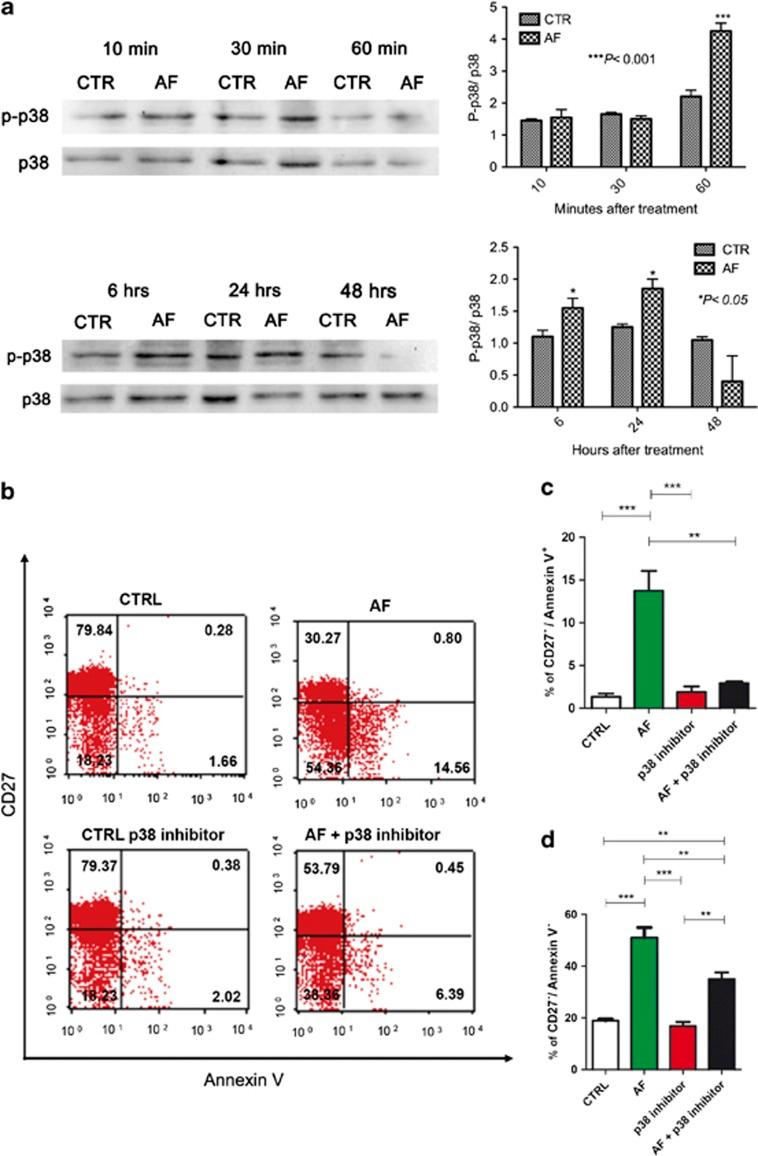 https://cdn.ncbi.nlm.nih.gov/pmc/blobs/9006/3877546/5a8fd12666a2/cddis2013473f3.jpg