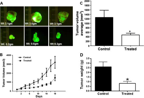 https://cdn.ncbi.nlm.nih.gov/pmc/blobs/9006/3941258/b7bd7df87e57/1471-2407-14-145-3.jpg