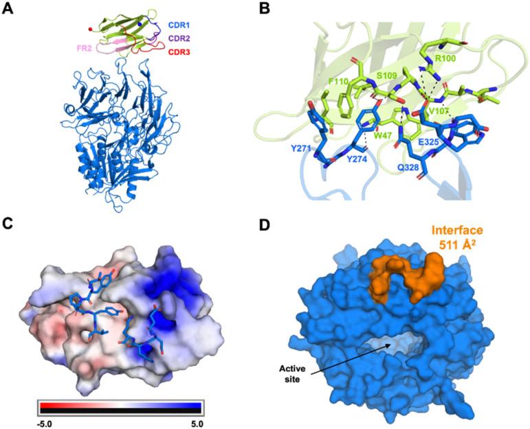 https://cdn.ncbi.nlm.nih.gov/pmc/blobs/9008/12059652/0de53bdd8ea9/d4cb00267a-f3.jpg