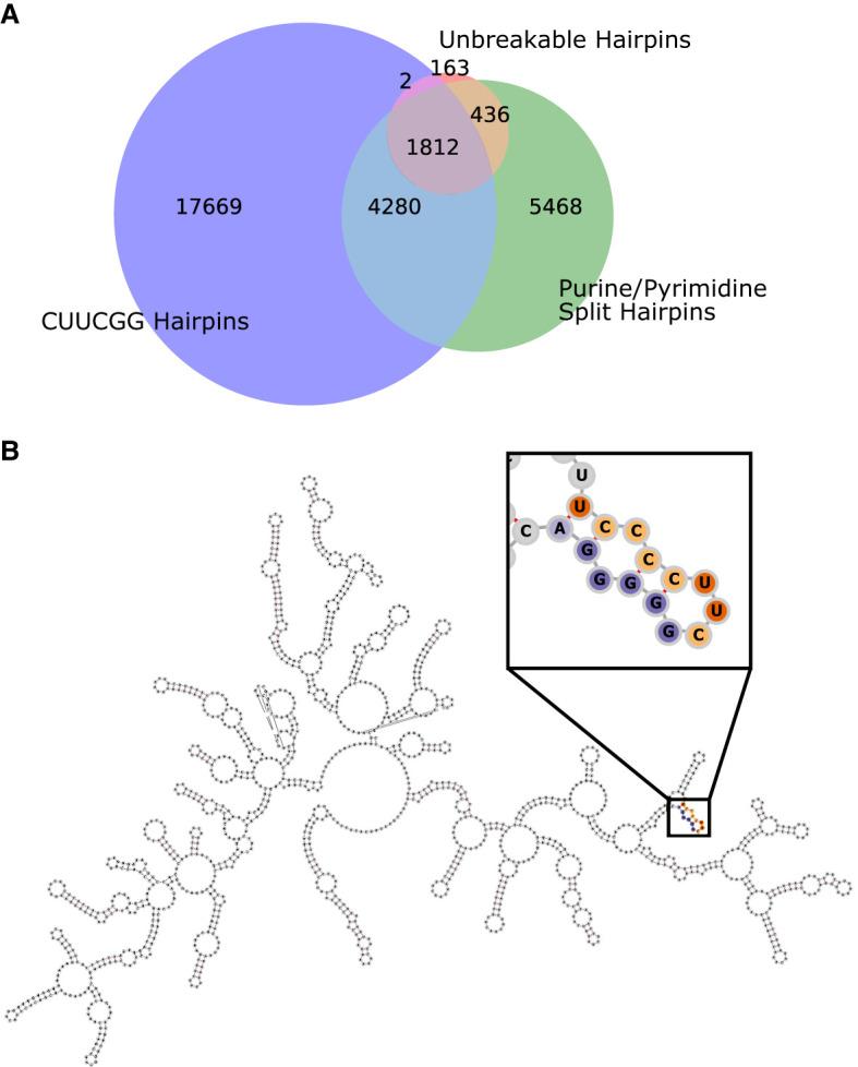 https://cdn.ncbi.nlm.nih.gov/pmc/blobs/9008/12170181/3fb991f6b728/885f03.jpg