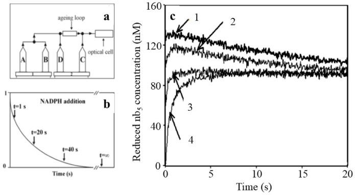 https://cdn.ncbi.nlm.nih.gov/pmc/blobs/9008/12238478/5729673bee0d/41598_2025_9060_Fig3_HTML.jpg