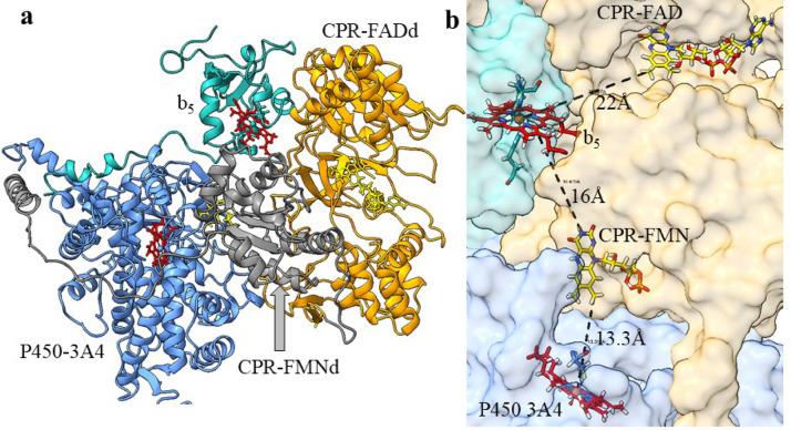 https://cdn.ncbi.nlm.nih.gov/pmc/blobs/9008/12238478/6691c456e9f1/41598_2025_9060_Fig7_HTML.jpg