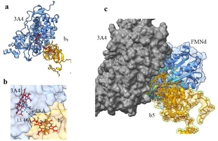 https://cdn.ncbi.nlm.nih.gov/pmc/blobs/9008/12238478/e659b2298af2/41598_2025_9060_Fig6_HTML.jpg