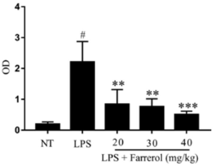 https://cdn.ncbi.nlm.nih.gov/pmc/blobs/900e/6032361/818f7a0219d9/ijms-19-01770-g003.jpg