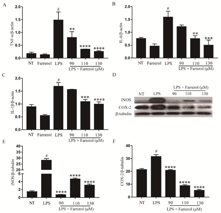 https://cdn.ncbi.nlm.nih.gov/pmc/blobs/900e/6032361/9e35b978c313/ijms-19-01770-g008.jpg