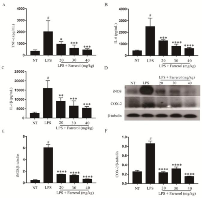 https://cdn.ncbi.nlm.nih.gov/pmc/blobs/900e/6032361/9e70127fbd3c/ijms-19-01770-g004.jpg