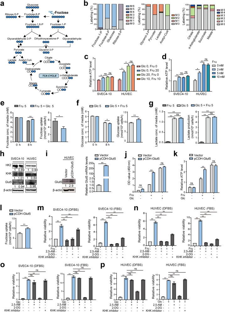 https://cdn.ncbi.nlm.nih.gov/pmc/blobs/900f/10375648/32e84213162f/13046_2023_2765_Fig2_HTML.jpg