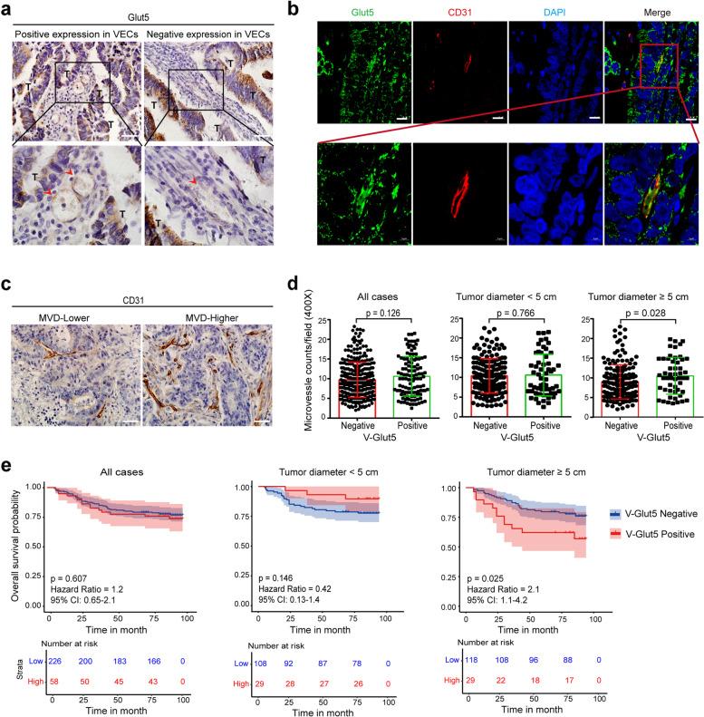 https://cdn.ncbi.nlm.nih.gov/pmc/blobs/900f/10375648/5a48e3c96dd2/13046_2023_2765_Fig5_HTML.jpg