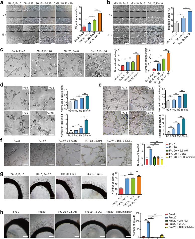 https://cdn.ncbi.nlm.nih.gov/pmc/blobs/900f/10375648/7b89b6ad0a6a/13046_2023_2765_Fig3_HTML.jpg
