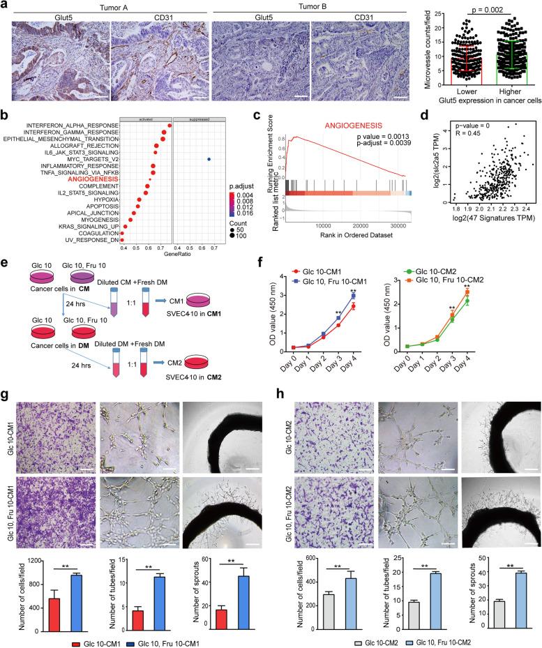 https://cdn.ncbi.nlm.nih.gov/pmc/blobs/900f/10375648/a8b9bd820798/13046_2023_2765_Fig6_HTML.jpg
