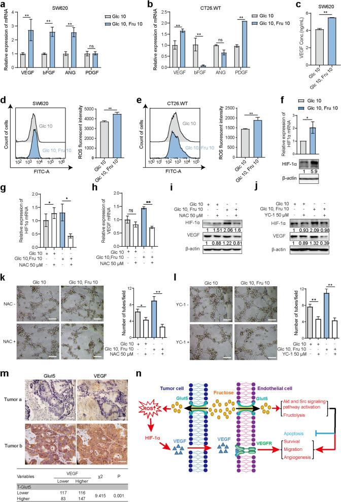 https://cdn.ncbi.nlm.nih.gov/pmc/blobs/900f/10375648/cbd3a3f47e95/13046_2023_2765_Fig7_HTML.jpg