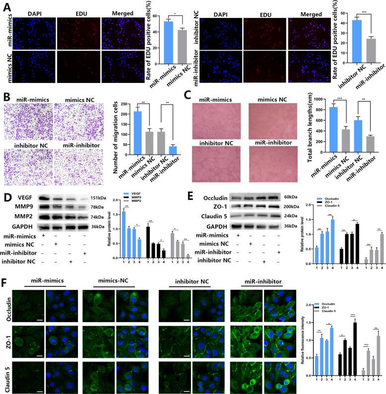 https://cdn.ncbi.nlm.nih.gov/pmc/blobs/900f/8426367/5e2c489fcfe1/41419_2021_4037_Fig3_HTML.jpg