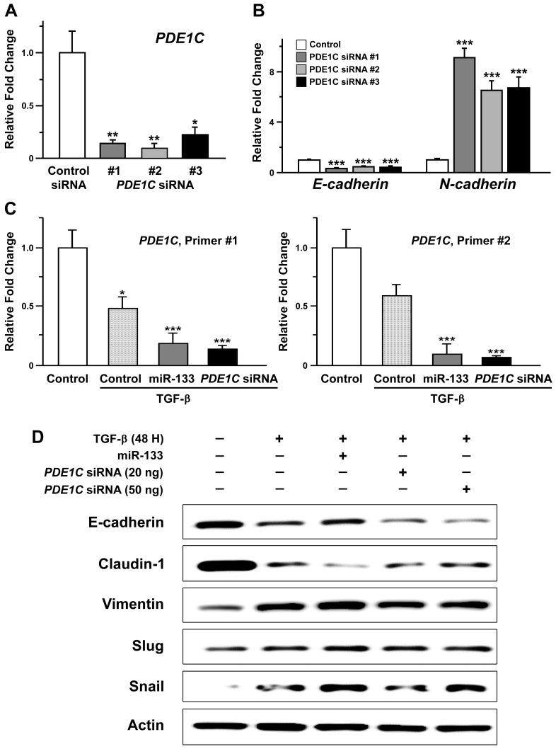 https://cdn.ncbi.nlm.nih.gov/pmc/blobs/9011/8317528/1bb042705728/jcav12p5296g005.jpg