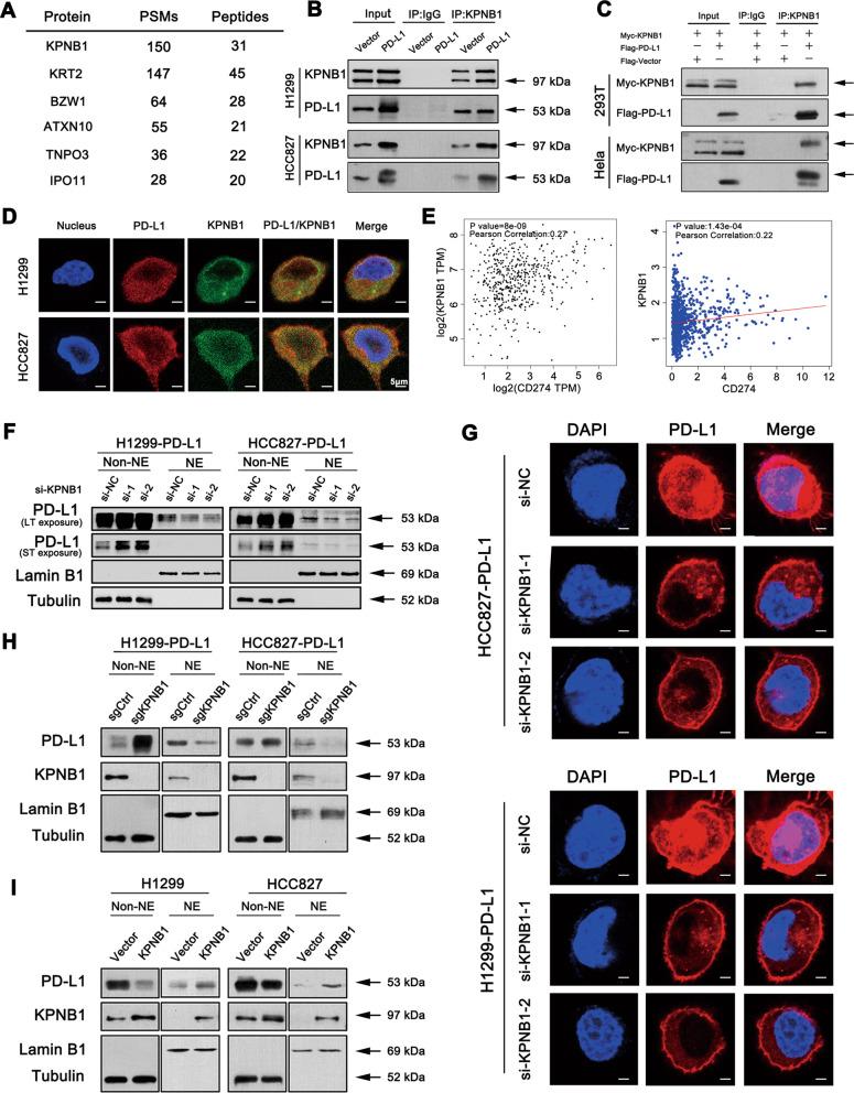 https://cdn.ncbi.nlm.nih.gov/pmc/blobs/9012/8027631/485560f2ba27/41418_2020_651_Fig7_HTML.jpg