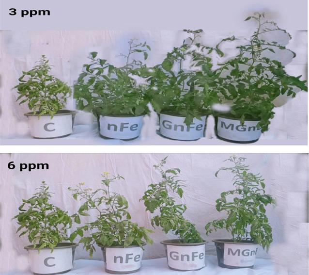 https://cdn.ncbi.nlm.nih.gov/pmc/blobs/9014/11134952/2929516d2107/12870_2024_5131_Fig1_HTML.jpg