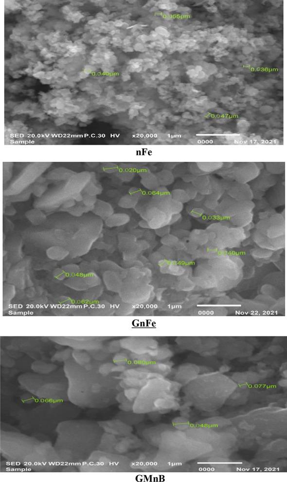 https://cdn.ncbi.nlm.nih.gov/pmc/blobs/9014/11134952/7ca0d1978e13/12870_2024_5131_Fig2_HTML.jpg