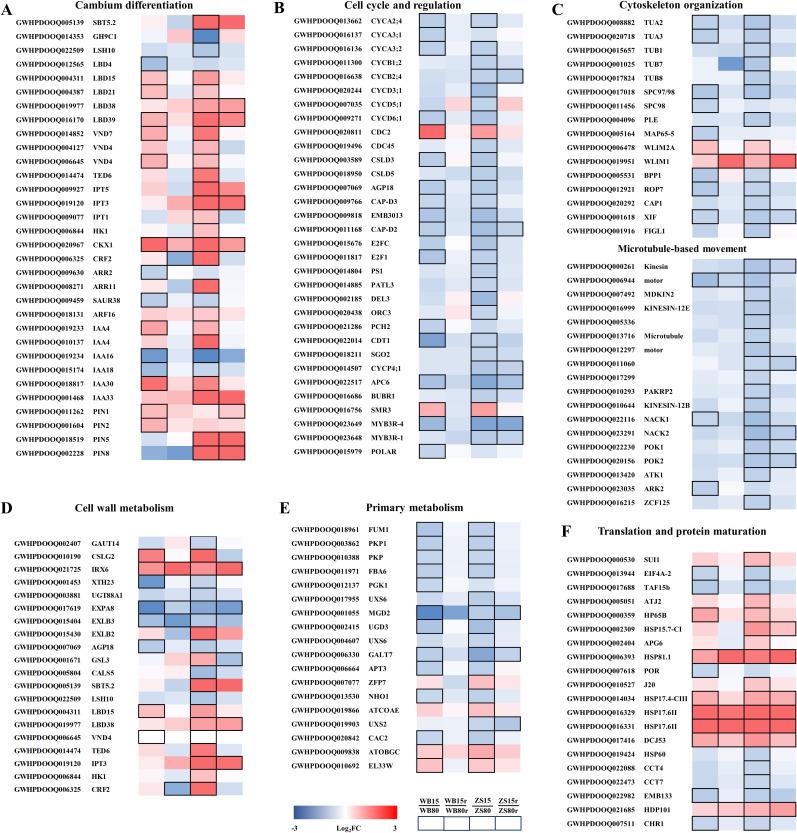 https://cdn.ncbi.nlm.nih.gov/pmc/blobs/9014/11688357/49a2fc1e5550/fpls-15-1512645-g008.jpg