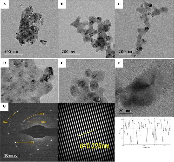 https://cdn.ncbi.nlm.nih.gov/pmc/blobs/9015/11362519/23e46beae581/41598_2024_71149_Fig4_HTML.jpg