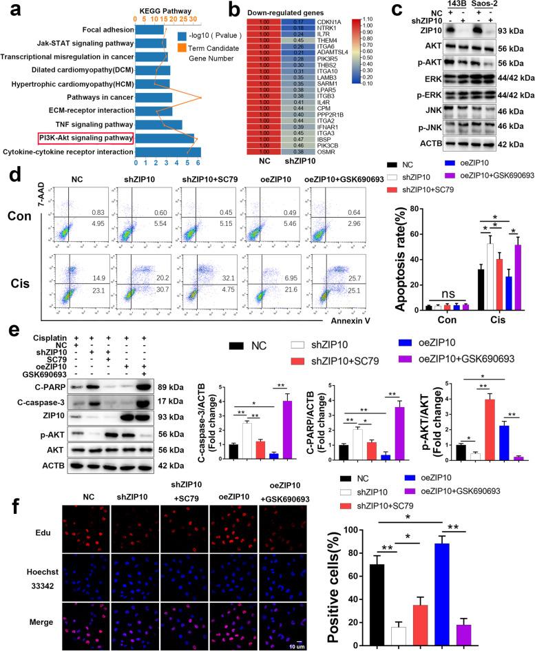 https://cdn.ncbi.nlm.nih.gov/pmc/blobs/9015/8549349/1fdb8e36054a/13046_2021_2146_Fig2_HTML.jpg