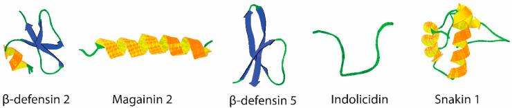 https://cdn.ncbi.nlm.nih.gov/pmc/blobs/9015/8621177/068d6a69dfa6/pharmaceutics-13-01820-g001.jpg