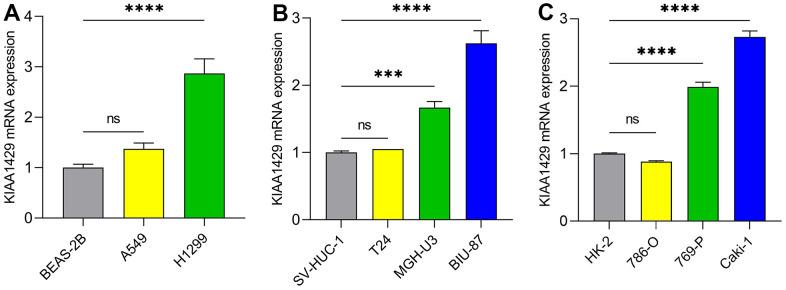 https://cdn.ncbi.nlm.nih.gov/pmc/blobs/9018/10522386/eb98624be7c1/aging-15-204968-g008.jpg