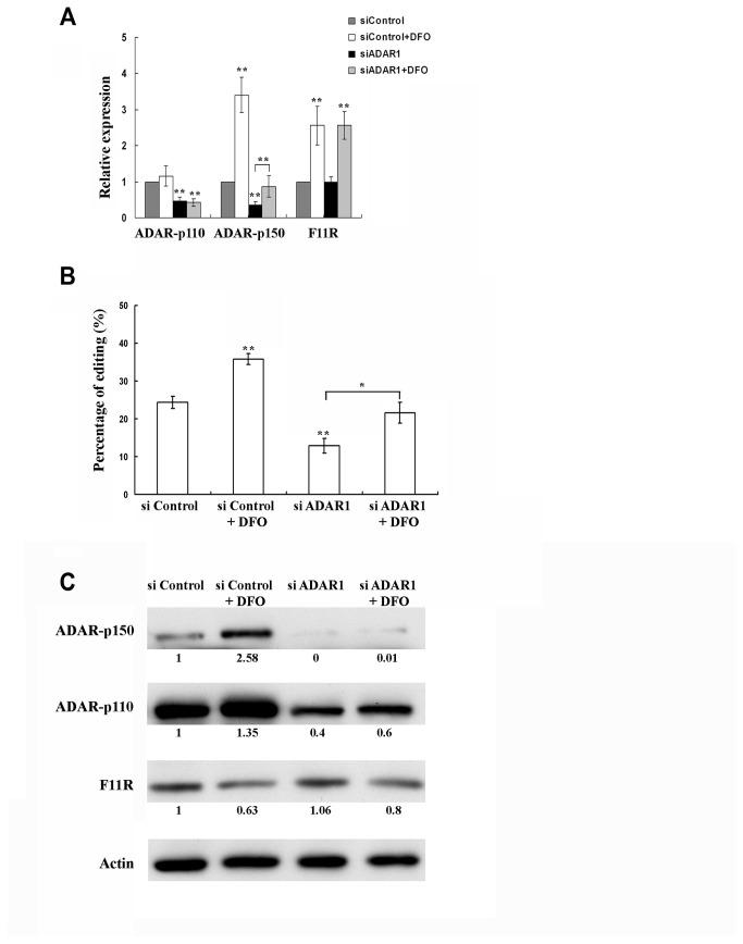 https://cdn.ncbi.nlm.nih.gov/pmc/blobs/901b/3797694/104396de8008/pone.0077702.g002.jpg