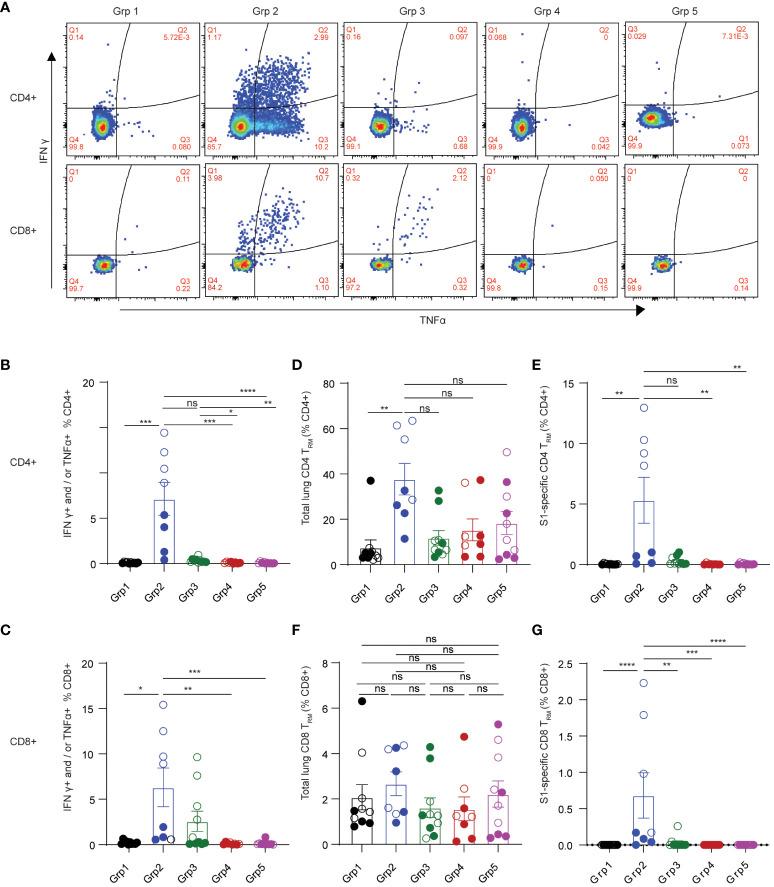 https://cdn.ncbi.nlm.nih.gov/pmc/blobs/901f/11148259/cdbfe1ff920d/fimmu-15-1386243-g002.jpg
