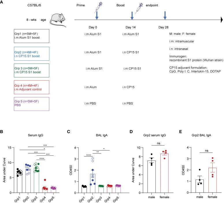 https://cdn.ncbi.nlm.nih.gov/pmc/blobs/901f/11148259/ce287ca589be/fimmu-15-1386243-g001.jpg
