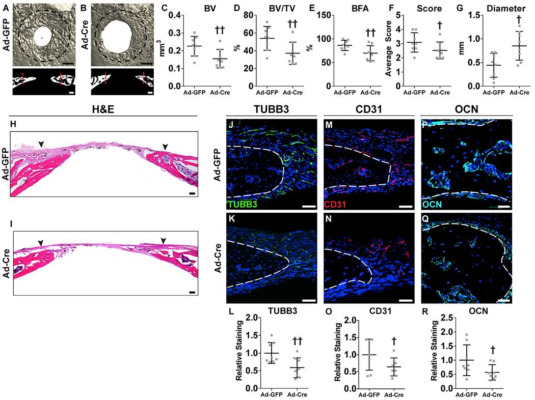 https://cdn.ncbi.nlm.nih.gov/pmc/blobs/901f/7335423/82d34b95c32b/nihms-1598120-f0005.jpg