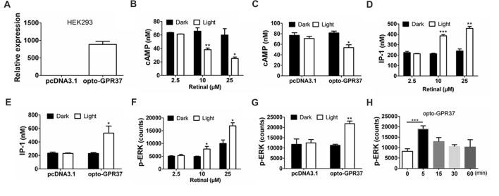 https://cdn.ncbi.nlm.nih.gov/pmc/blobs/9020/5882850/ff9197c8507f/fnmol-11-00095-g0002.jpg