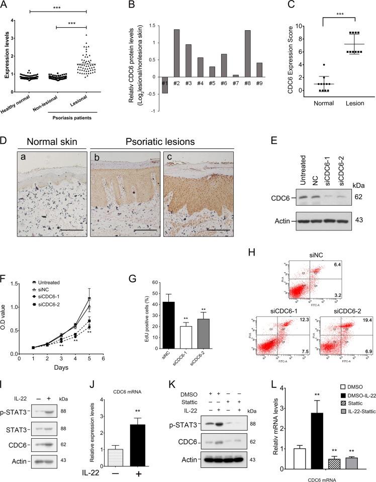 https://cdn.ncbi.nlm.nih.gov/pmc/blobs/9020/6426889/78193f264093/41419_2019_1510_Fig1_HTML.jpg